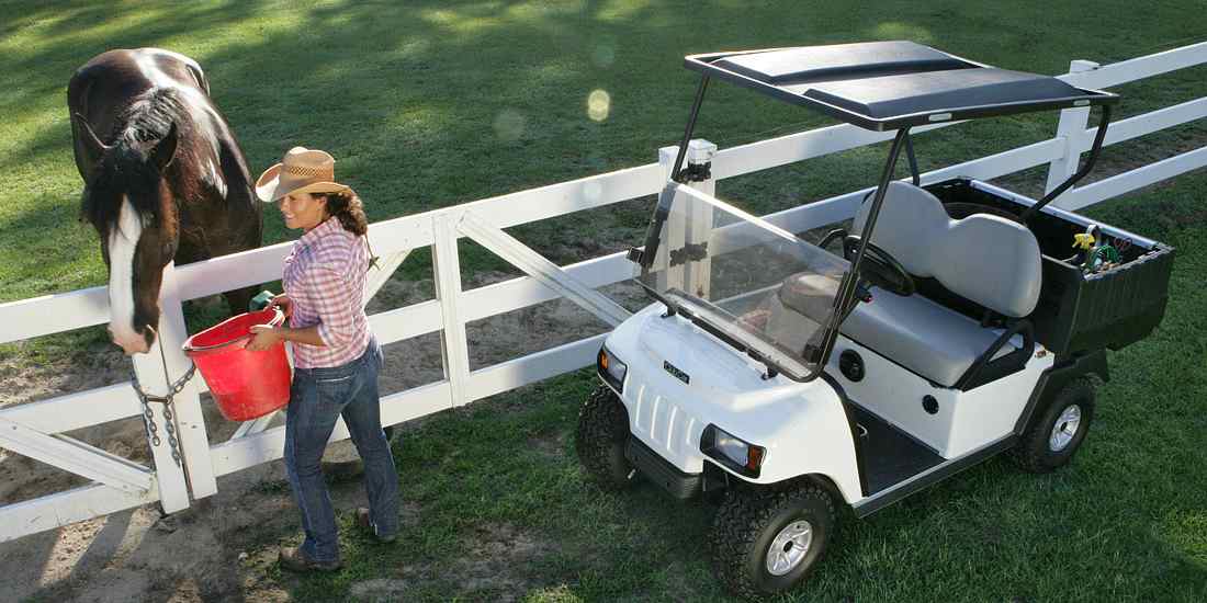 XRT800 xrt 800 equestrian horse